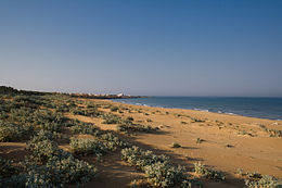 Demanio forestale di Randello